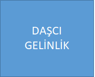 daşcı